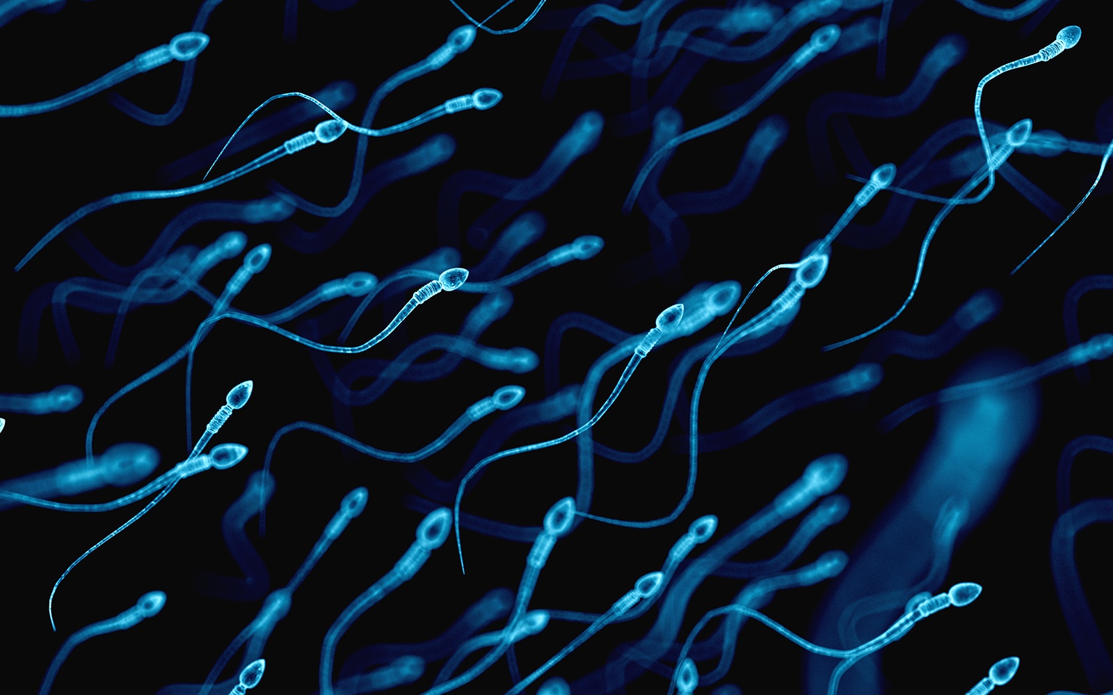 Hoy en nuestro blog de infertilidad te lo contamos todo sobre la inseminacion artificial, que es, tipos de inseminacion artificial y la tasa de exito de esta tecnica de reproduccion asistida IFER Mallorca