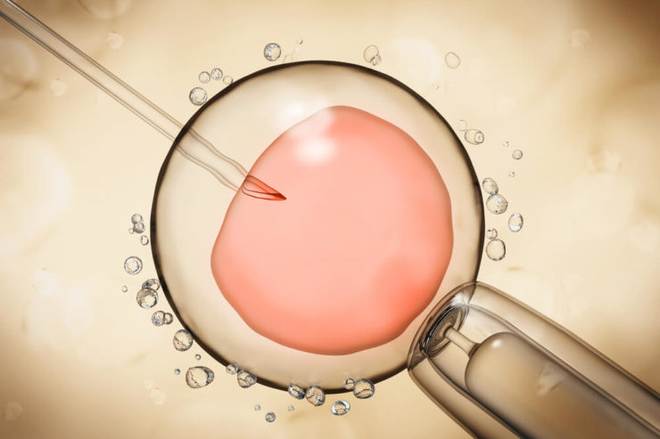 activacion-ovacitaria-los-expertos-en-reproduccion-humana-asistida-de-instituto-de-fertilidad-mallorca-te-lo-cuentan-todo-en-nuestro-blog-de-infertilidad-ifer